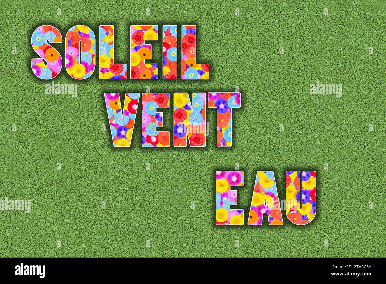 french words soleil, vent, eau (sun, wind, water) written with flowers