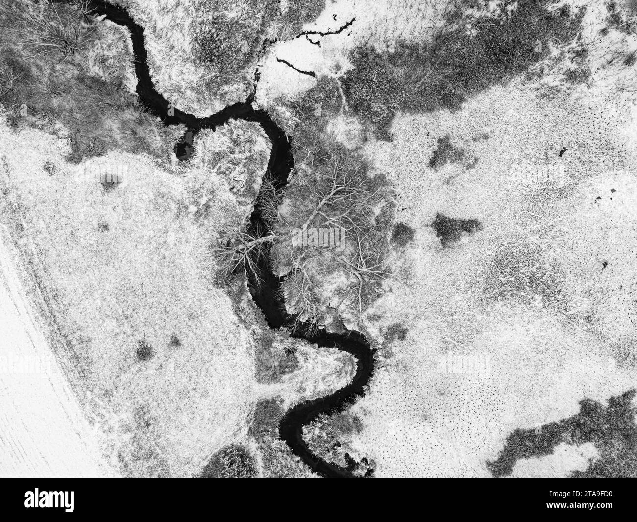 Wetland trail Black and White Stock Photos & Images Alamy