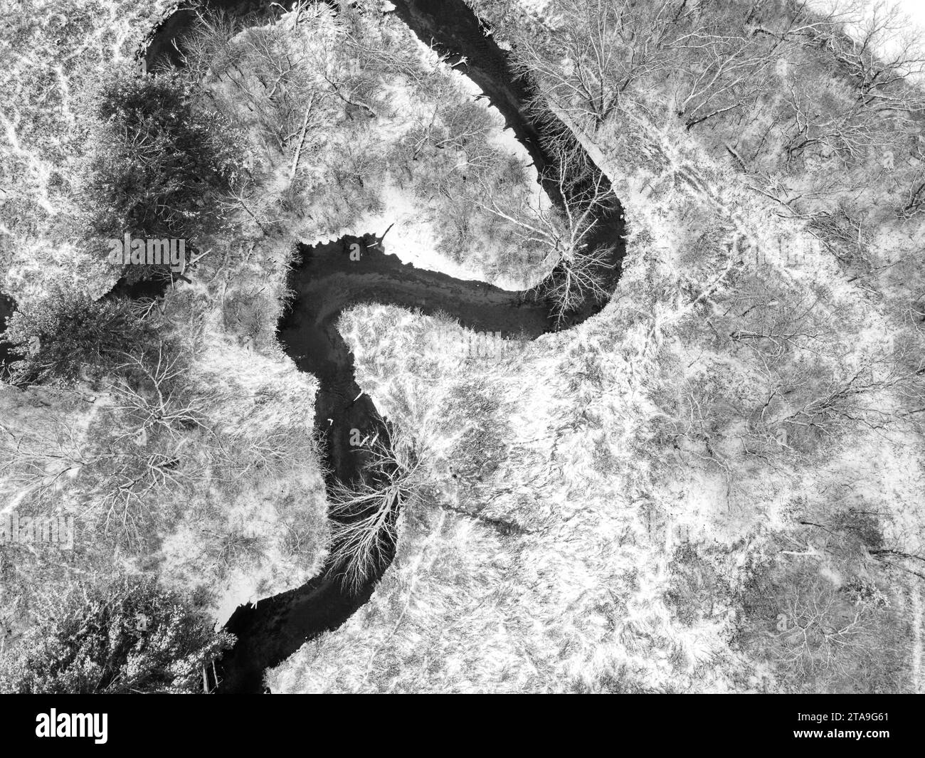 Wetland trail Black and White Stock Photos & Images Alamy