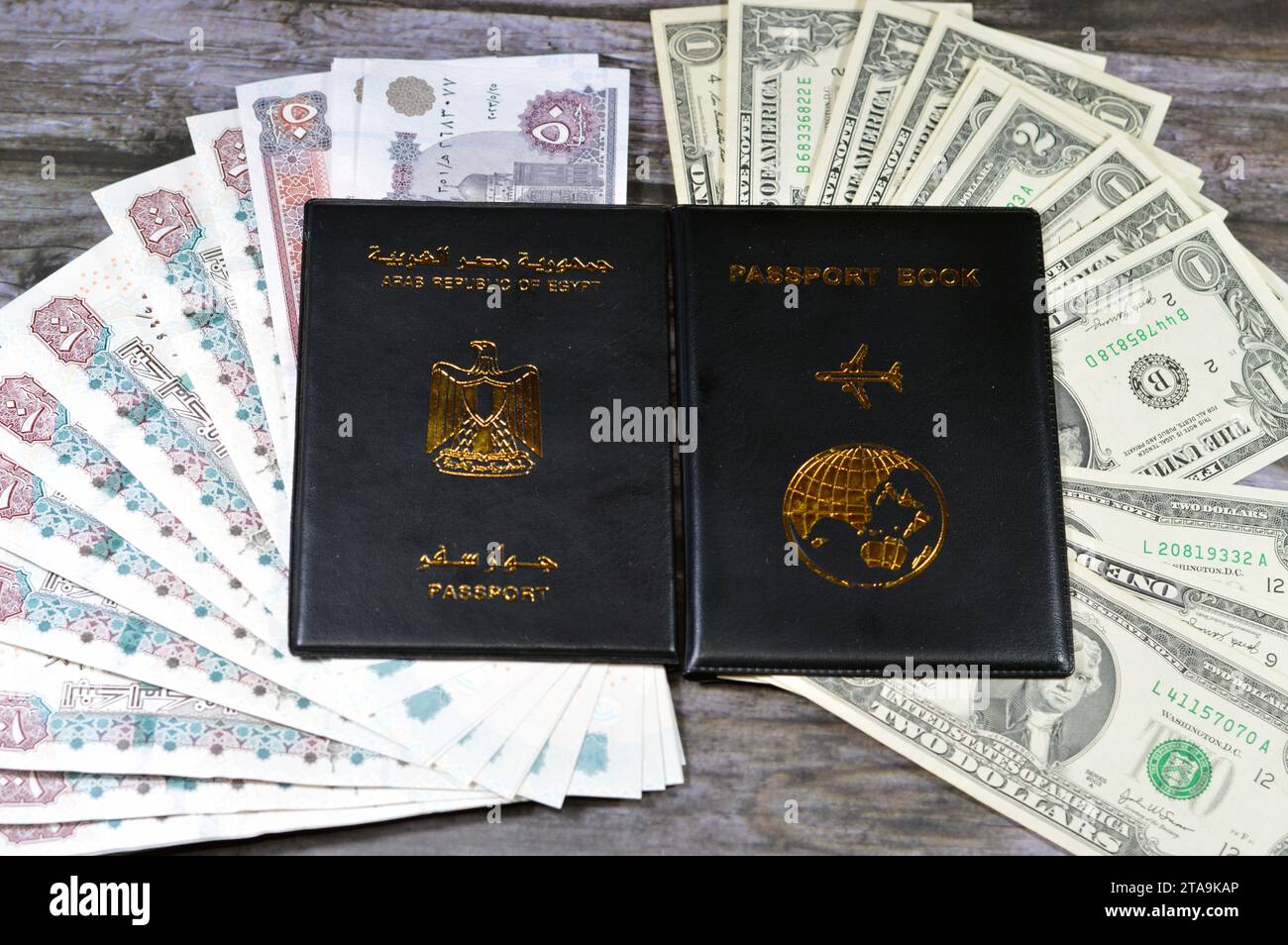 Egyptian passport black book, Translation of Arabic words (Arab