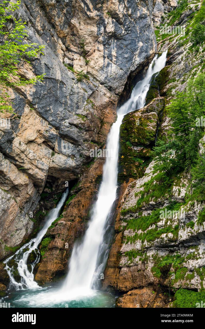 Savica Waterfalls Triglav National Park Slovenia Stock Photo Alamy savica-waterfalls-triglav-national-park-slovenia-stock-photo-alamy