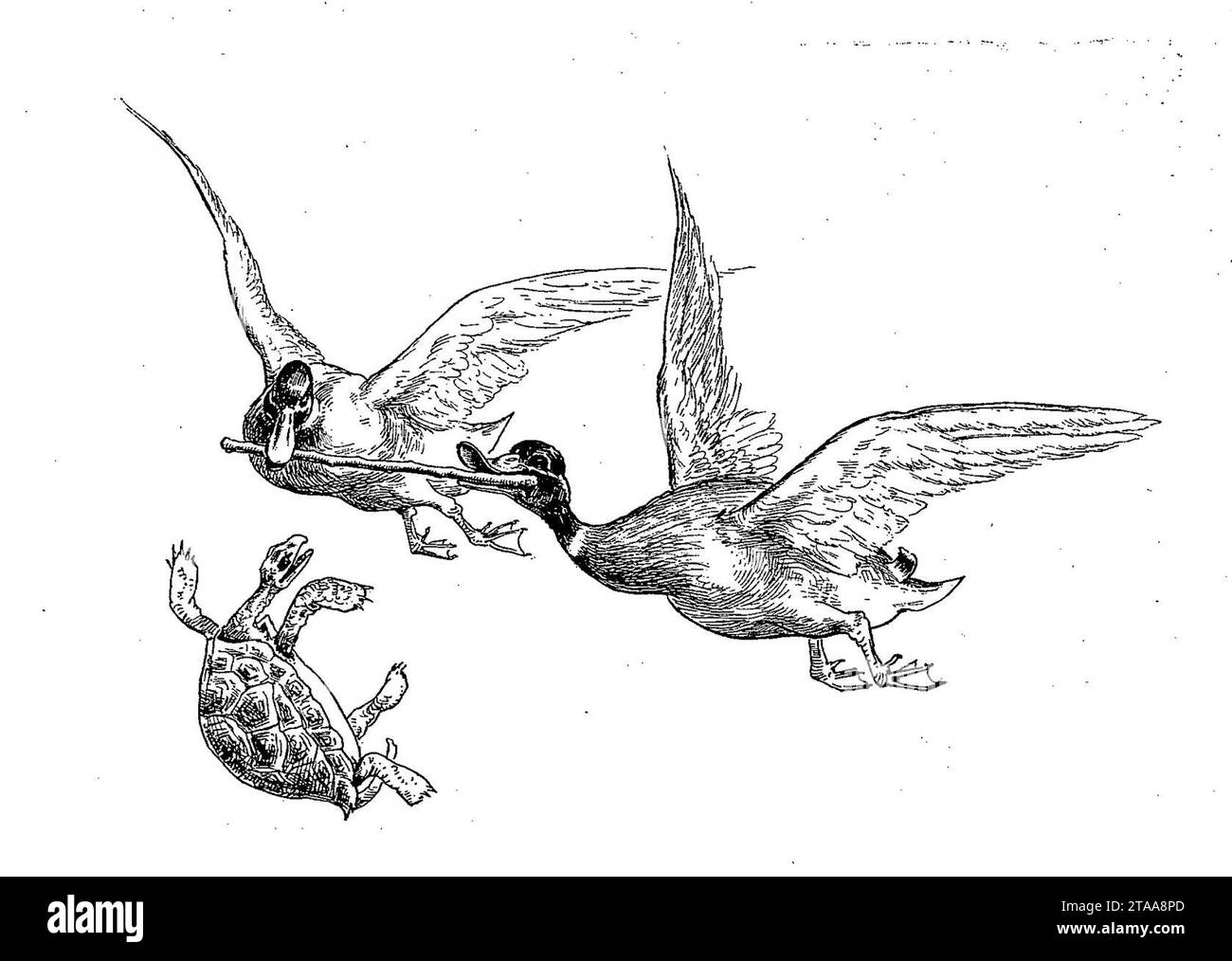 Vimar Fables de La Fontaine 1003. La Tortue et les Deux Canards