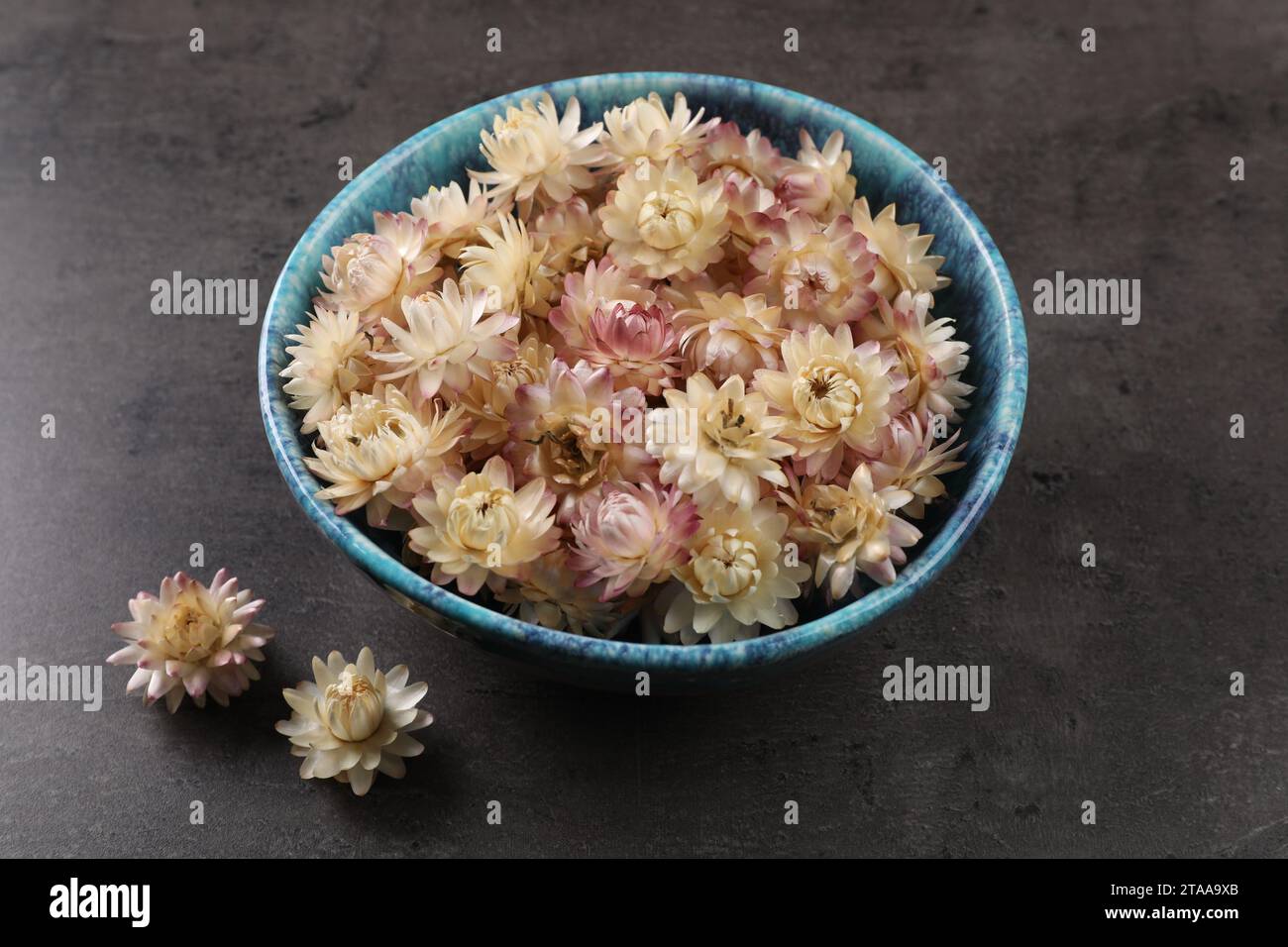 Bowl with dried strawflowers on grey table Stock Photo