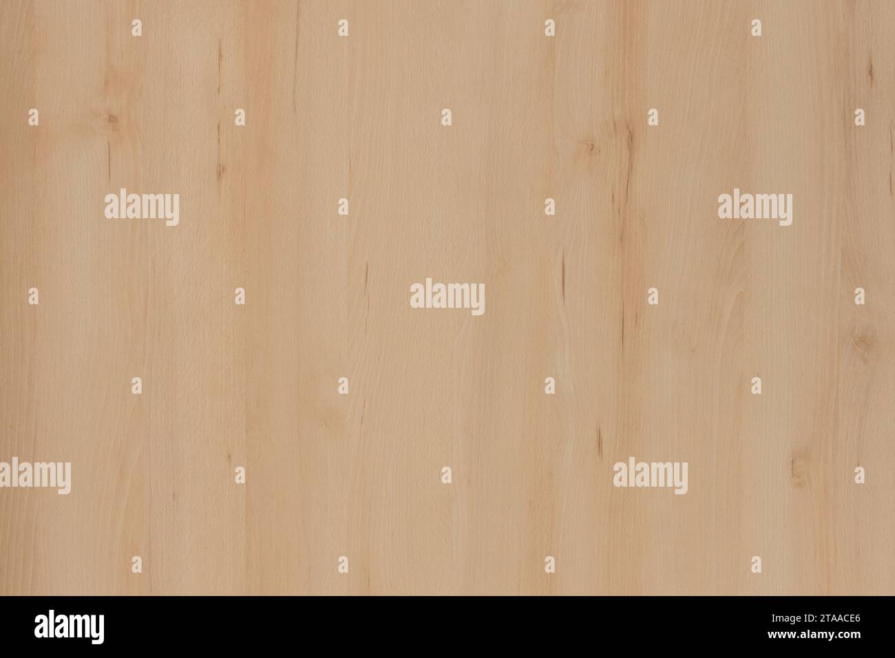 Light Smooth Surface Abstract Natural Wood Pattern Texture Board ...