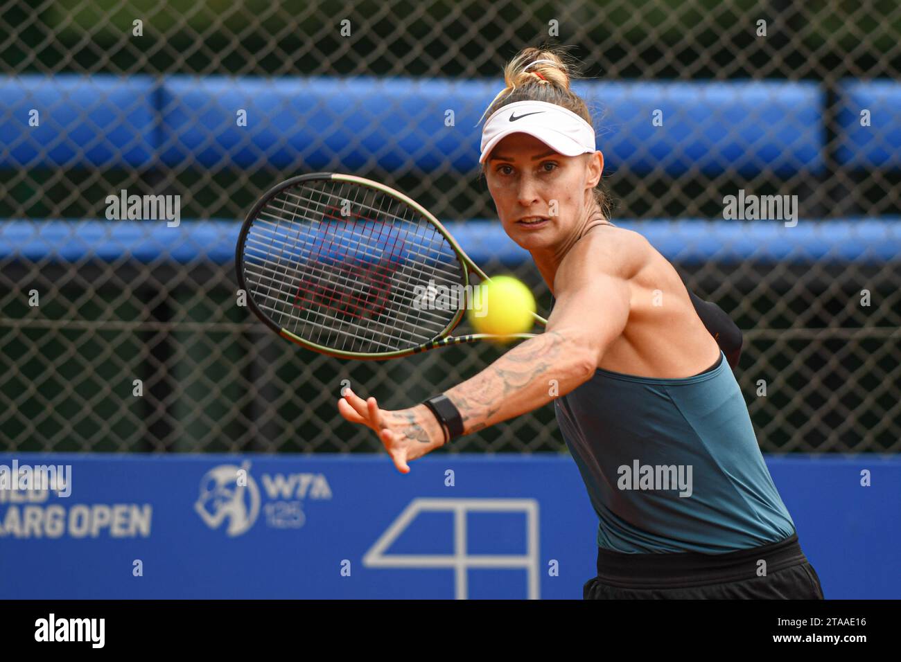 Polona Hercog (Slovenia). WTA Argentina Open 2023 Stock Photo - Alamy