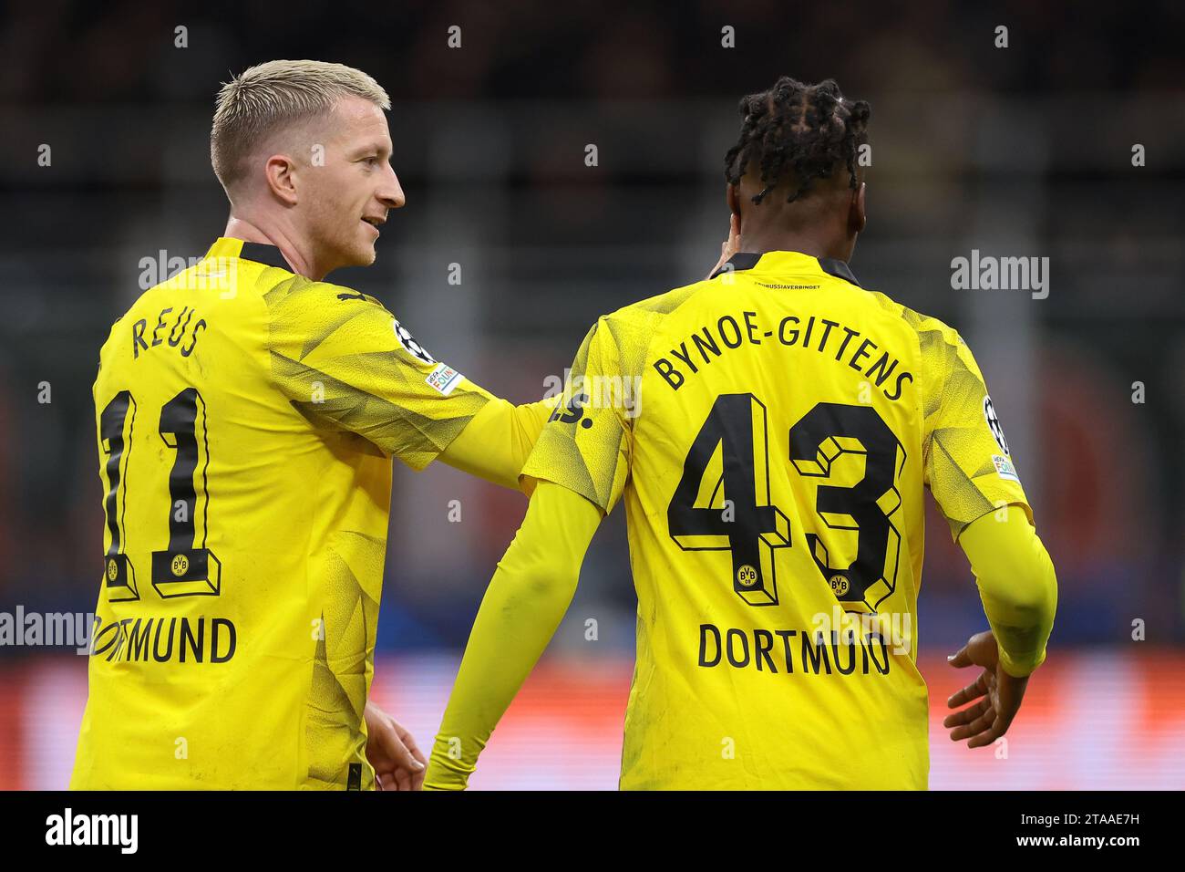 Milan, Italy. 28th Nov, 2023. Marco Reus of Borussia Dortmund fives team mate Jamie Bynoe-Gittens a slap on the face to congratulate him on his goal during the UEFA Champions League match at Giuseppe Meazza, Milan. Picture credit should read: Jonathan Moscrop/Sportimage Credit: Sportimage Ltd/Alamy Live News Stock Photo