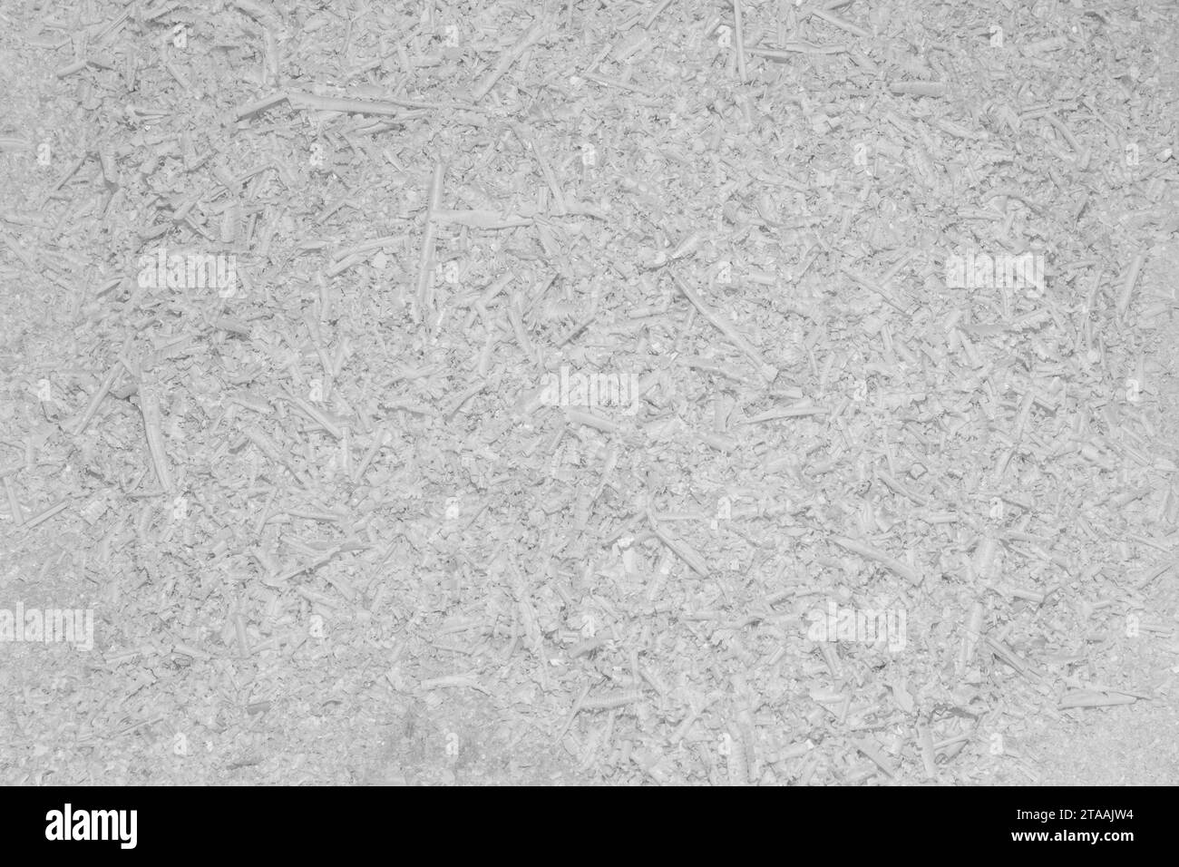 White Natural Wood Shavings Waste Recycling Industrial Material Sawdust