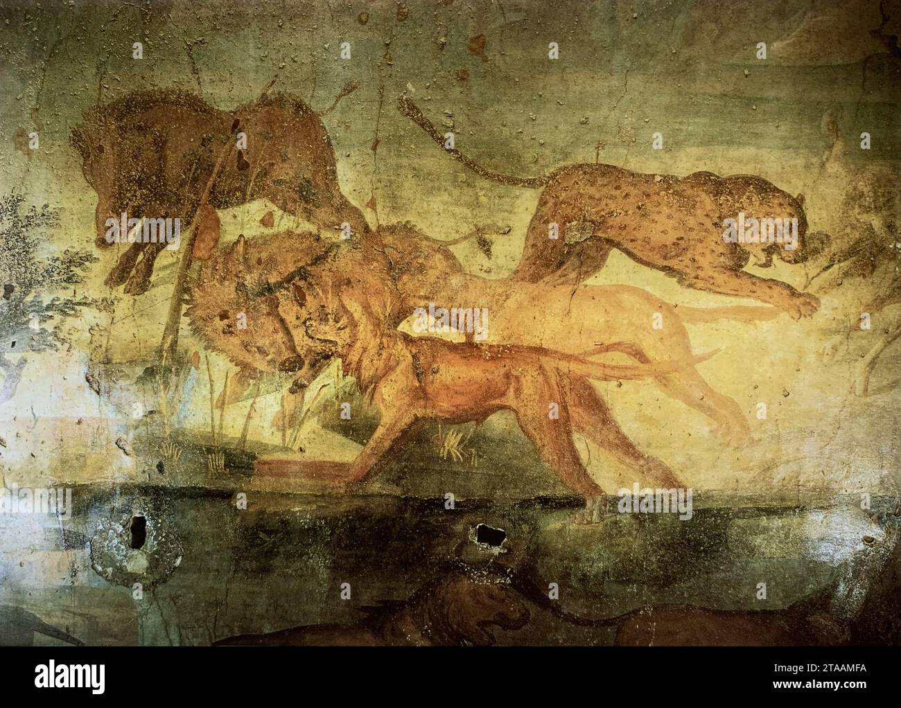 Ceii pompeii pompeii hi-res stock photography and images - Alamy
