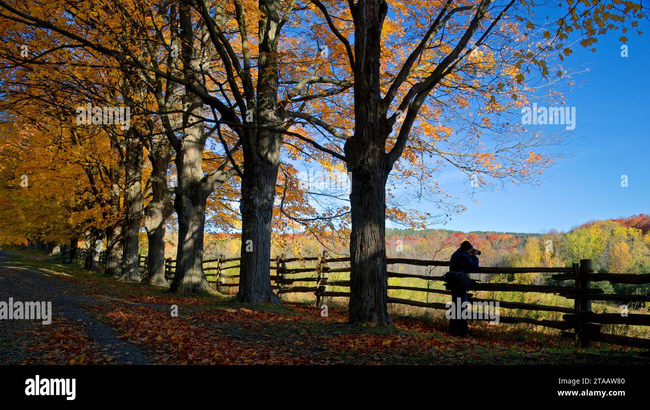 Silhouette of the photographer in taking picture of the autumn leaf colour Stock Photo