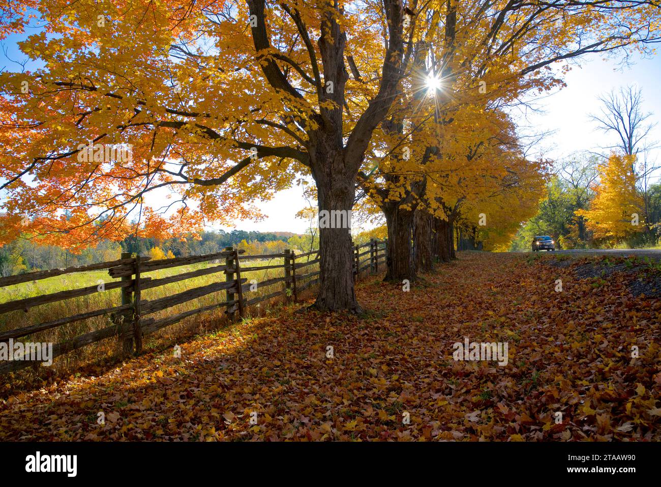 Lens flare on a beautiful country road with autumn leaf colour Stock Photo