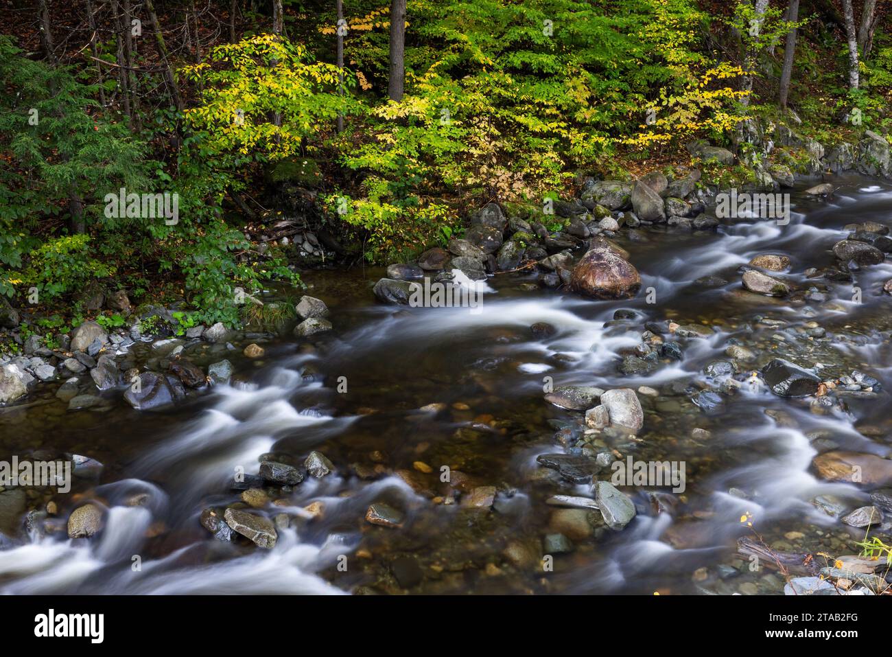 Whetstone Brook in autumn, West Brattleboro, Vermont Stock Photo