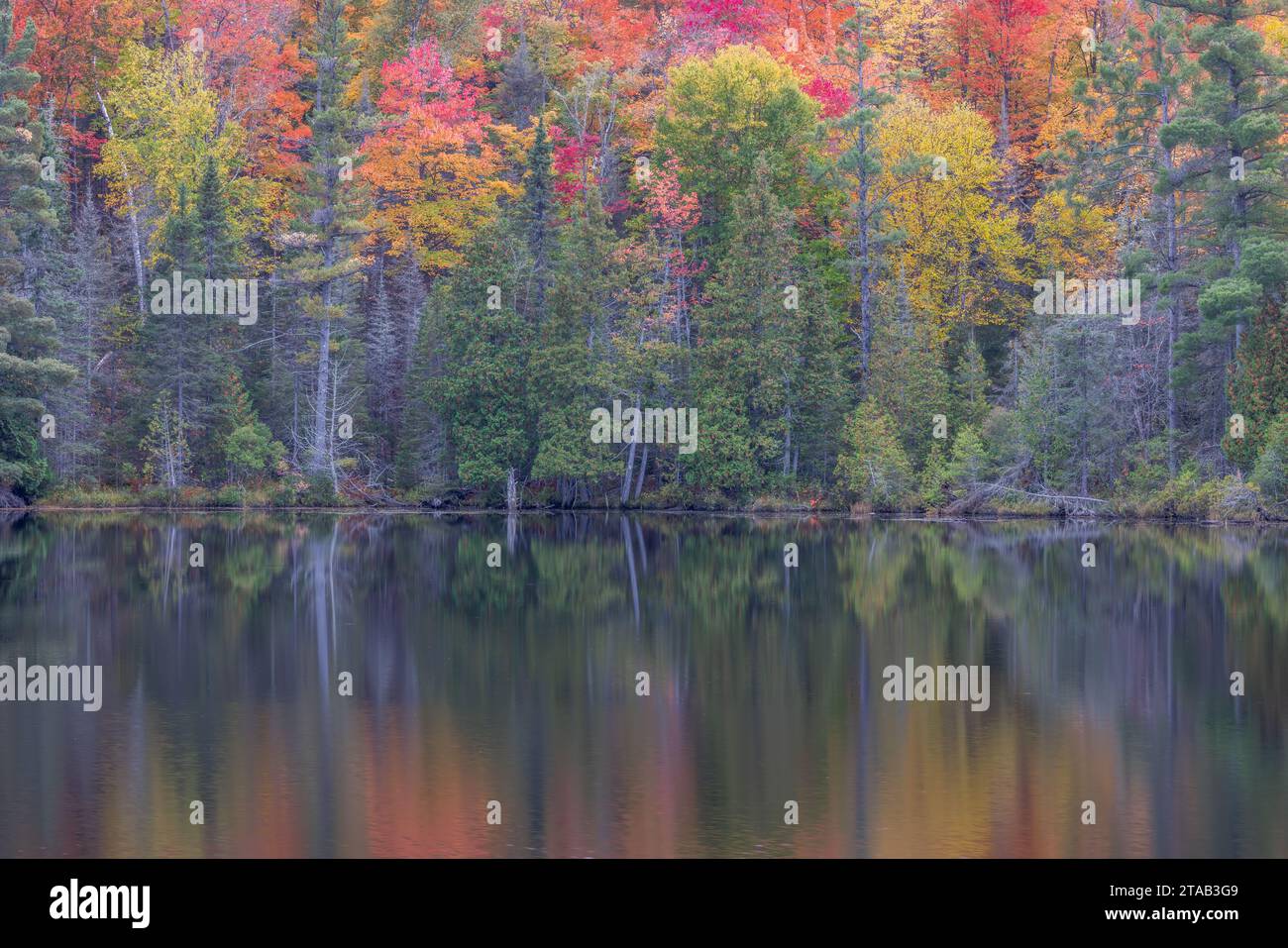 Fall foliage reflected in a pond in Michigamme Township, Marquette