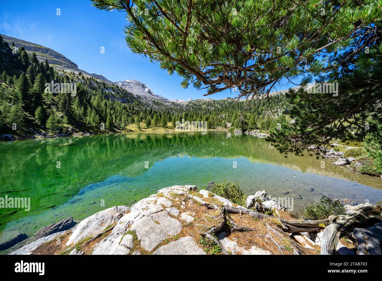 Lake Lé Vert close to Rifugio Lavarella on Alta Via 1 hiking route, Badia, Italy Stock Photo
