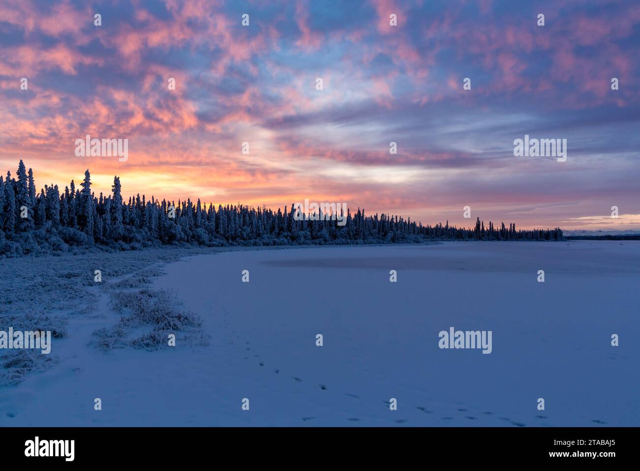 View of Deadman Lake at sunrise, Tetlin National Wildlife Refuge
