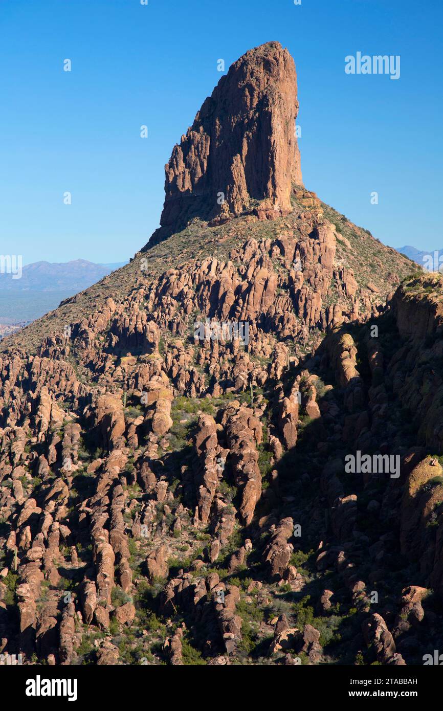 Weavers Needle from Peralta Trail - Weavers Needle From Peralta Trail Wilderness Tonto National Forest Arizona 2TABBAH 