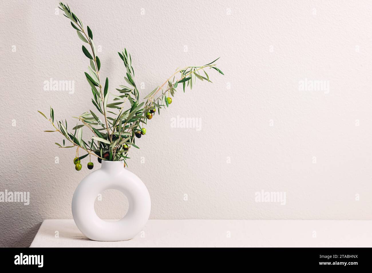 Vase with olive tree branches over the light gray wall, modern minimal ...
