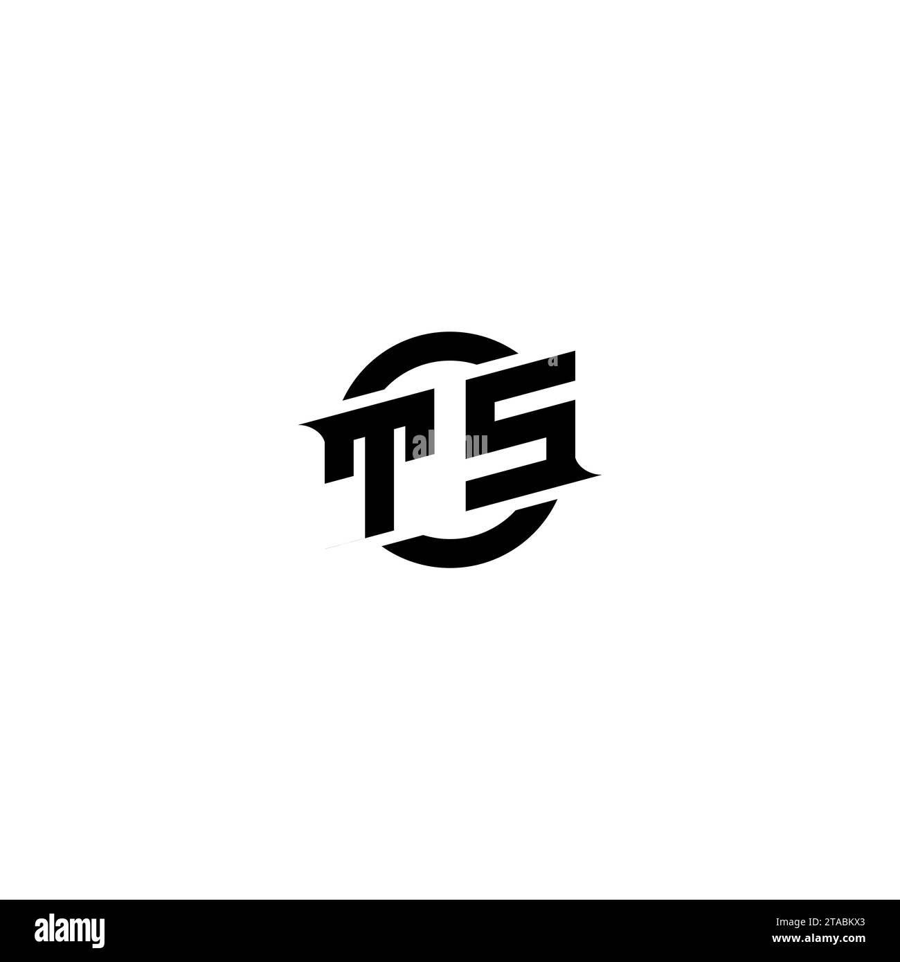 TS initial game logo, banner design for your e-sports or streaming team Stock Vector