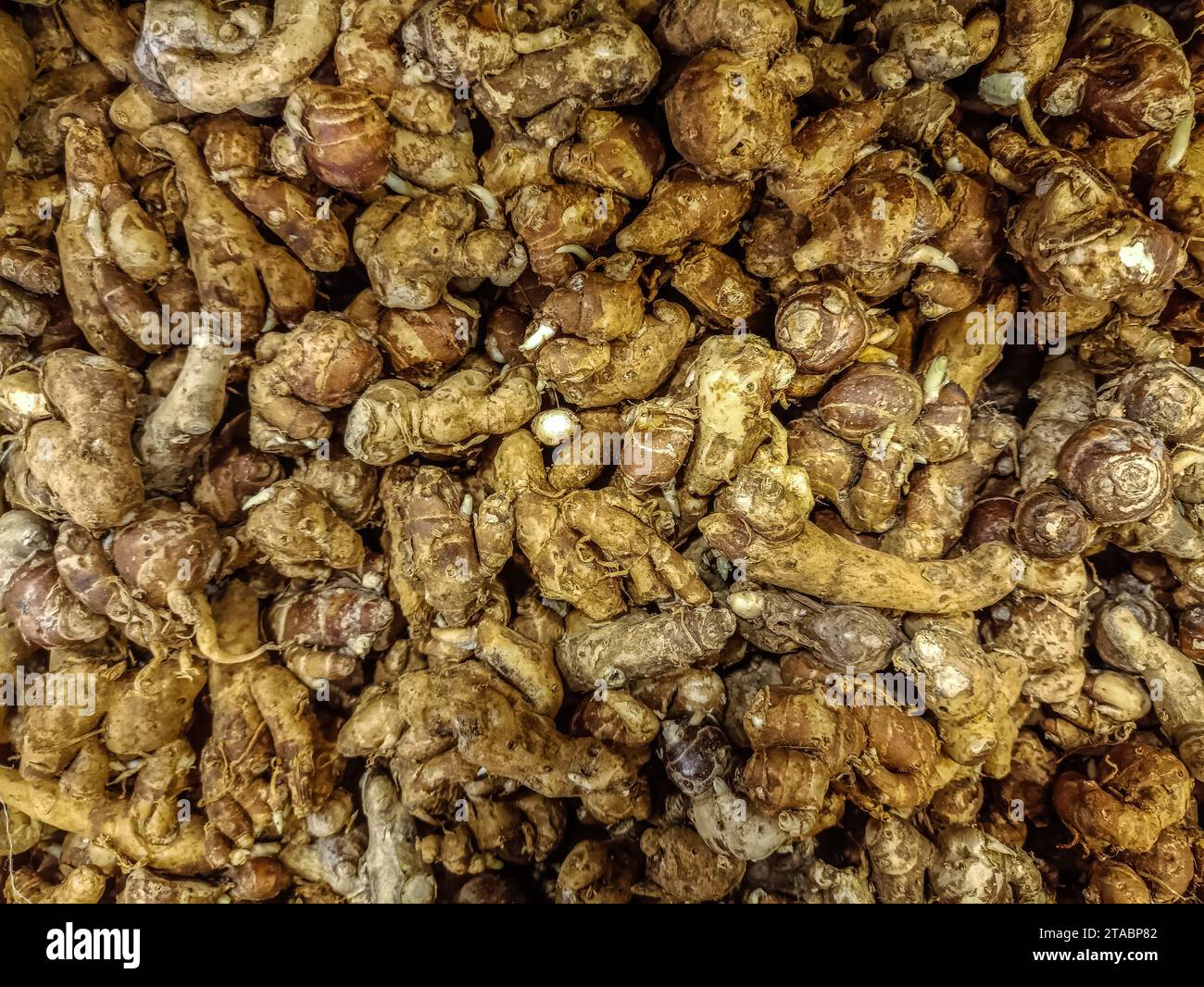 Fresh flavourful aromatic ripe raw spice ginger Stock Photo