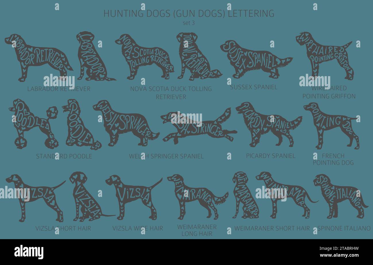 Dog breeds silhouettes with lettering, simple style clipart. Hunting dogs and Gun dog collection.  Vector illustration Stock Vector