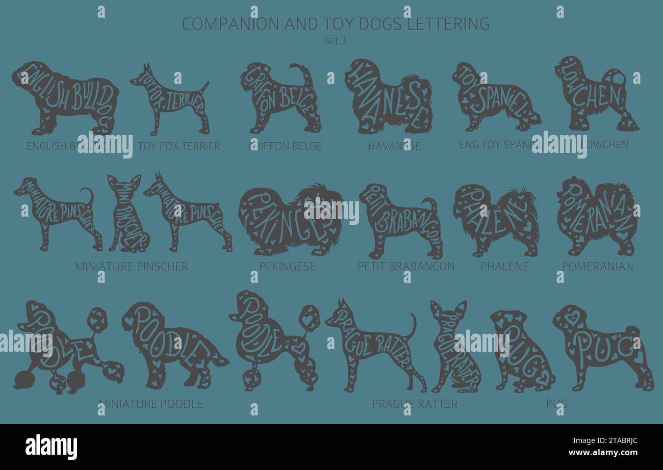 Dog breeds silhouettes with lettering, simple style clipart. Companion dogs and toy dogs collection.  Vector illustration Stock Vector