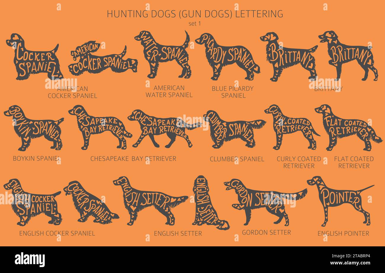 Dog breeds silhouettes with lettering, simple style clipart. Hunting