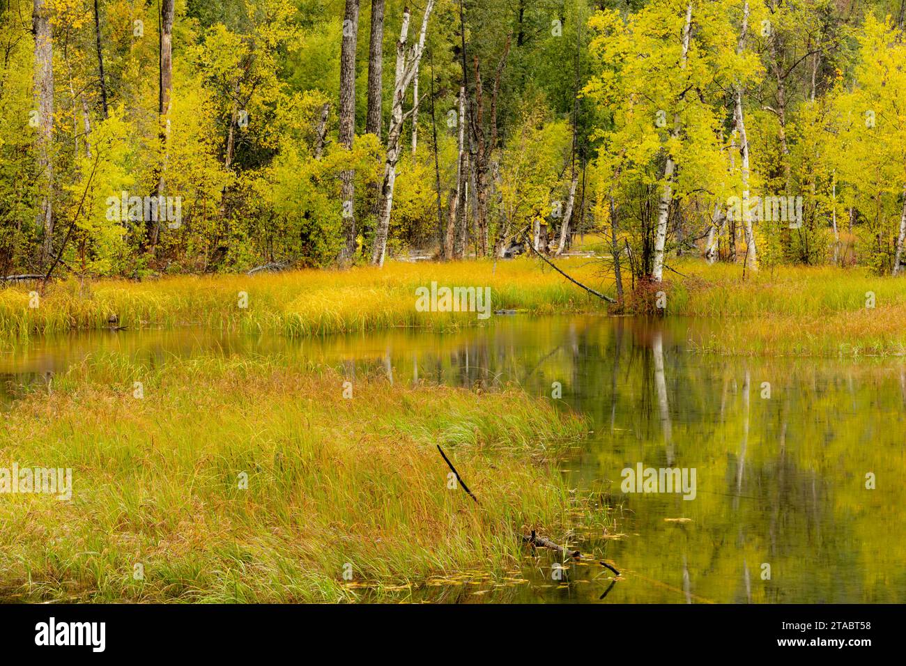 Pond in autumn, Alaska Stock Photo