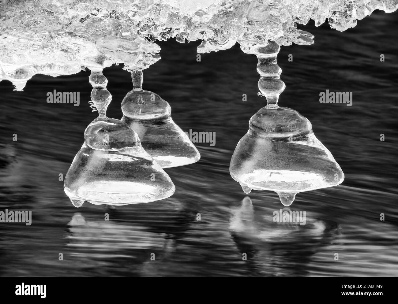 Close up of icicles, Chugach State Park, Alaska Stock Photo