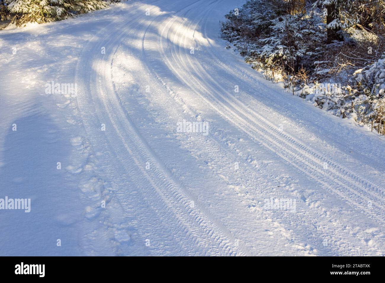 Winter road with snow and car tracks Stock Photo