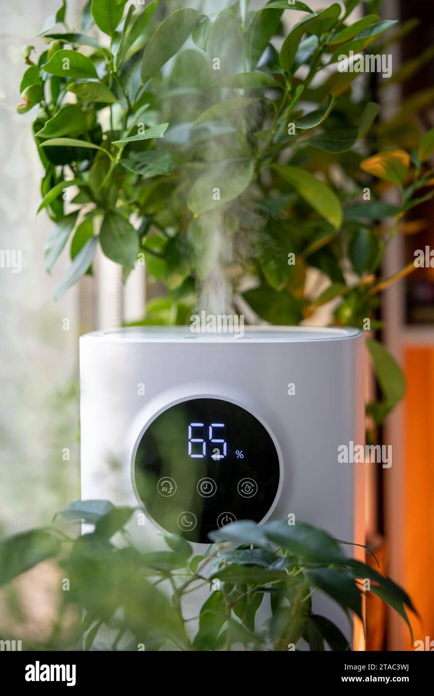 Naturally Existing Humidifier Modern humidifier at home, moistens dry air surrounded by indoor plant ...
