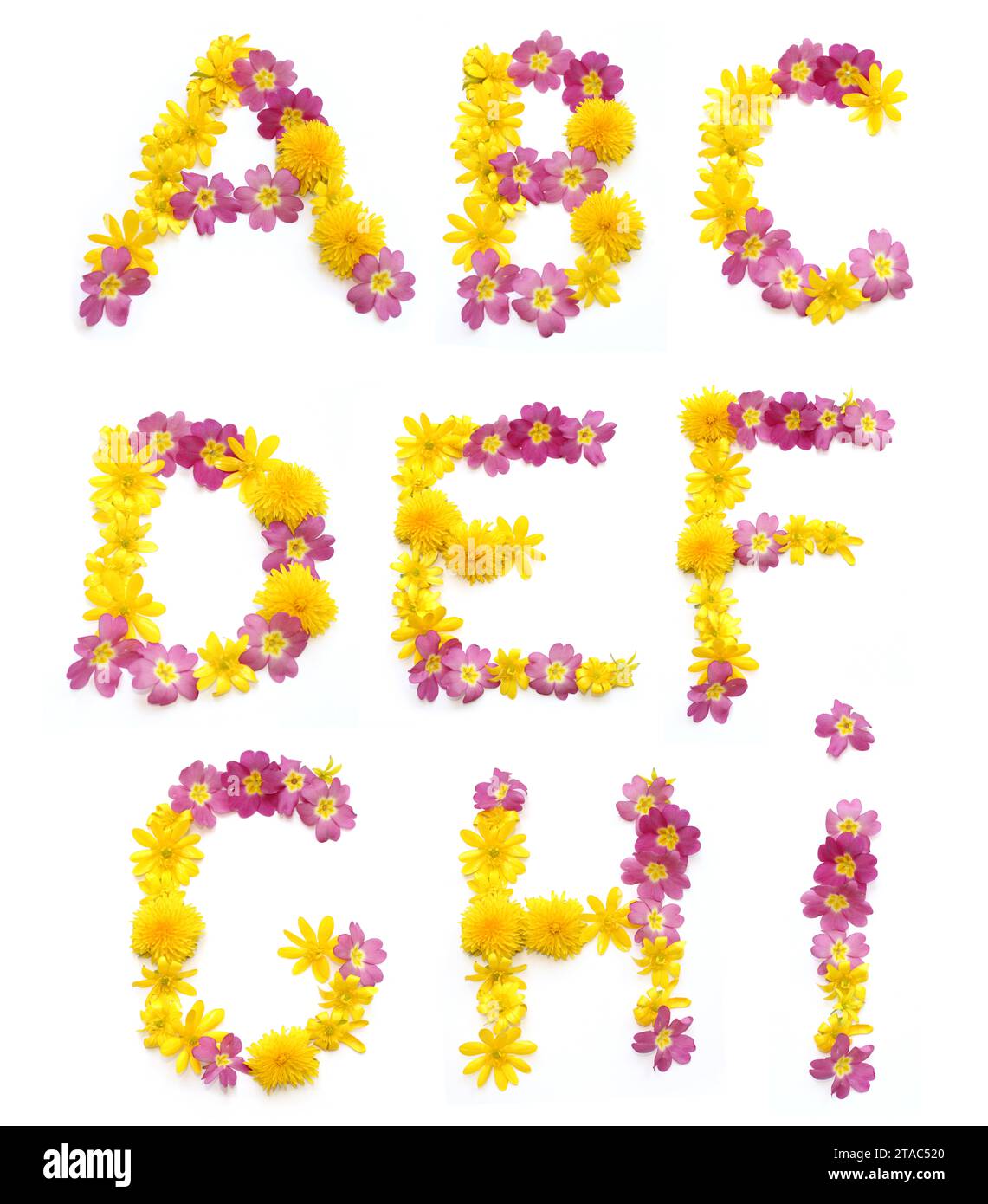 set of letters A B C D E F G I made of yellow, pink flowers. The floral lettering can be used as posters for weddings, anniversaries, corporate events Stock Photo