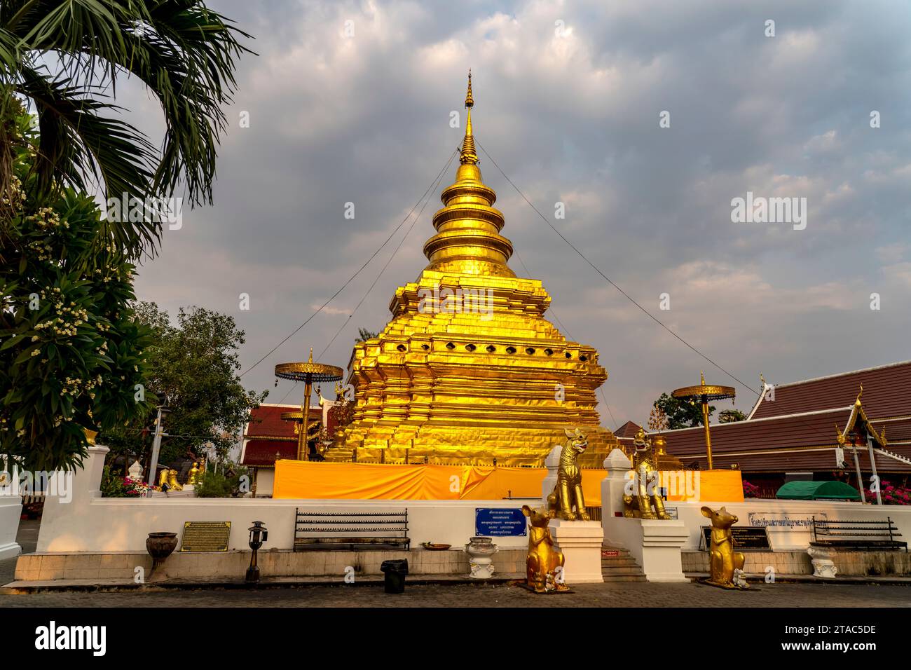 Der goldene Chedi des buddhistischen Tempel Wat Phra That Si in Chom Thong, Thailand, Asien   |  Golden Chedi of the buddhist Temple Wat Phra That Si, Stock Photo