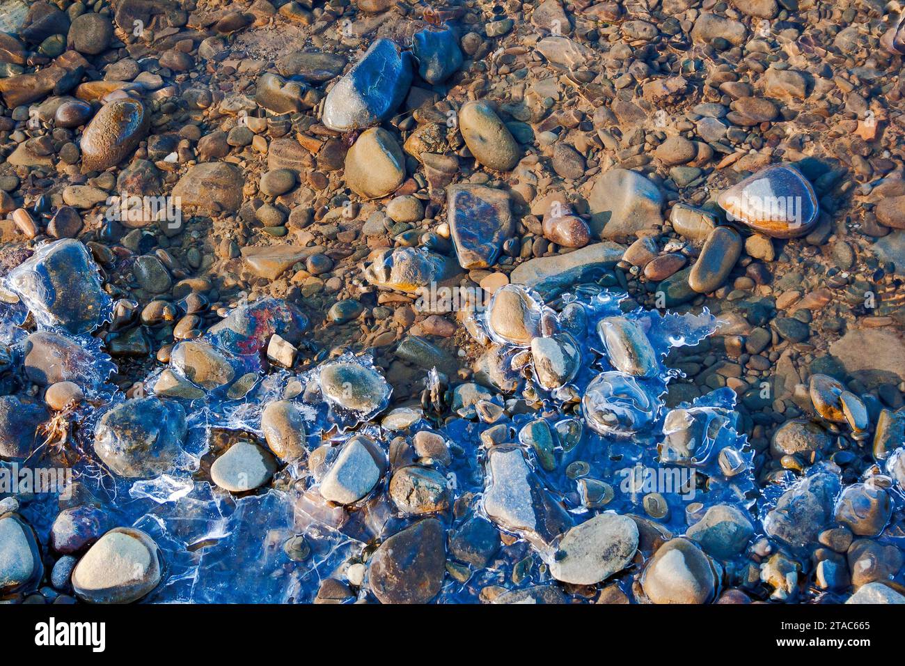 nature texture with ice and stones in the calm water. closeup background of a lake shore in winter; ice, stone, water, texture, winter, lake, backgrou Stock Photo