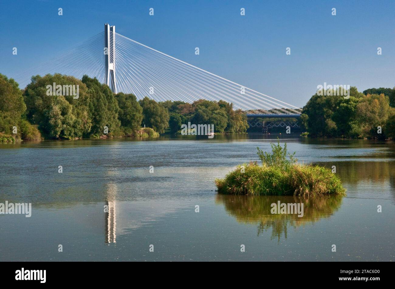 Redzinski Bridge, the world's fourth largest cable-stayed concrete bridge, over Oder river at motorway ring road in Wroclaw, Lower Silesia, Poland Stock Photo
