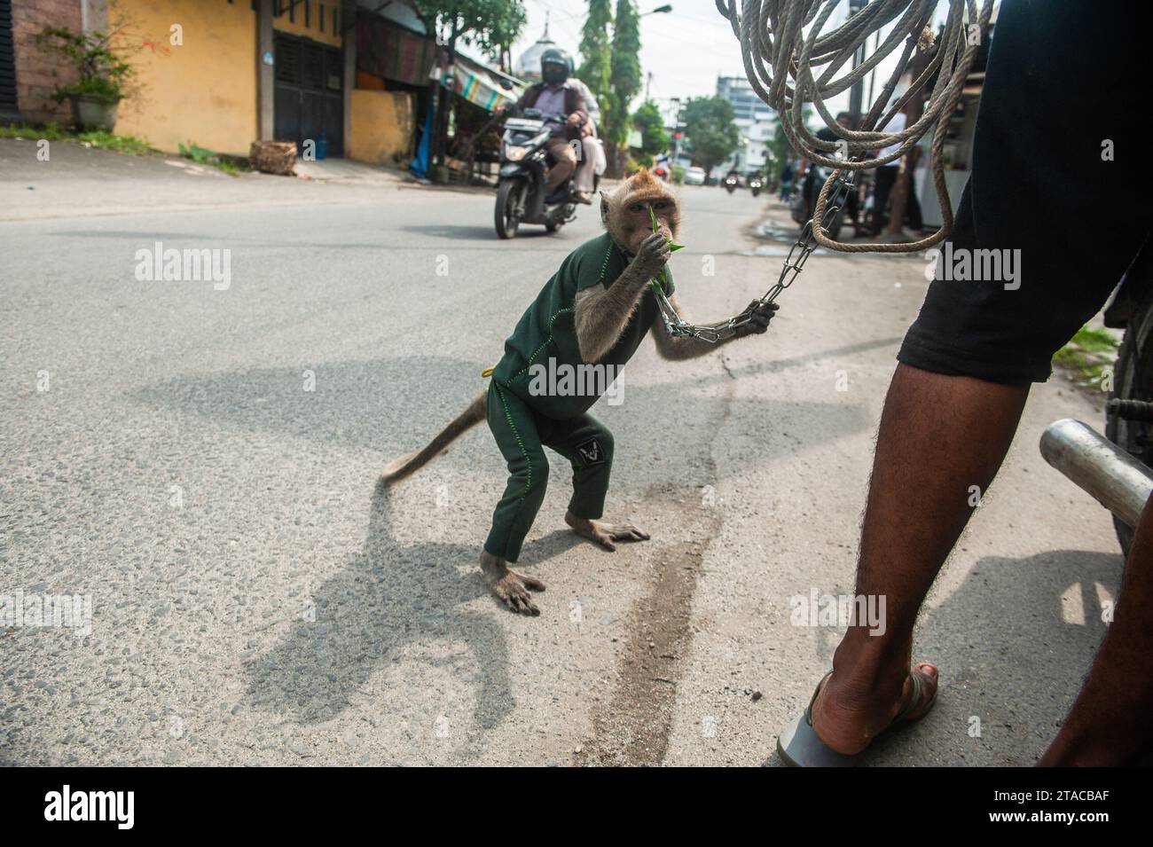 Exploitation representation hi-res stock photography and images - Alamy