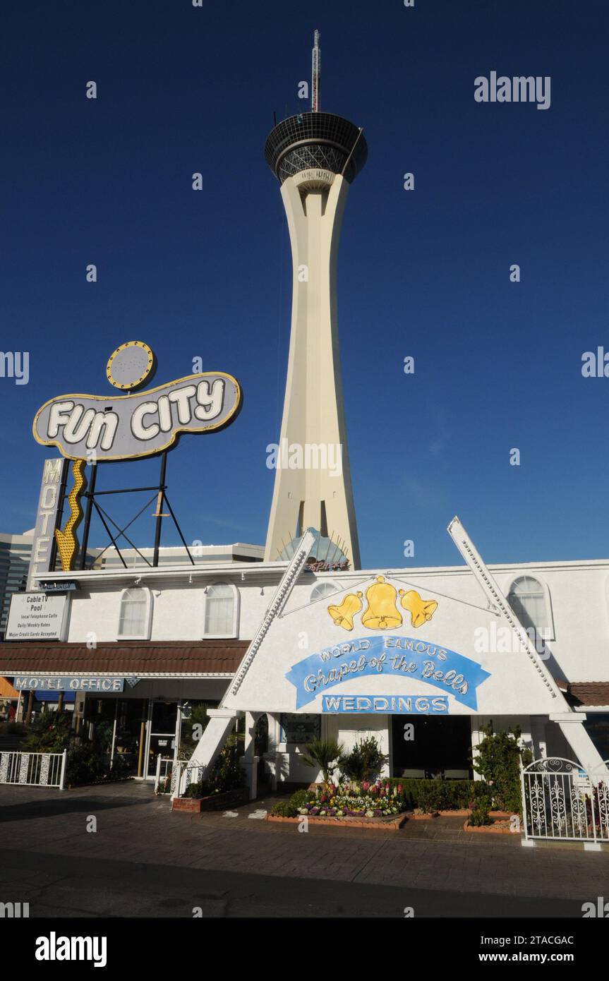 Embracing Love While Becoming Their Authentic Selves - The New York Times, image size:863x1390