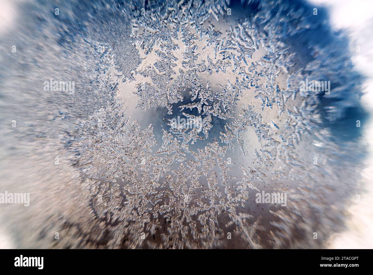 Window ice, crystallization and ice spicule, frost flower like an