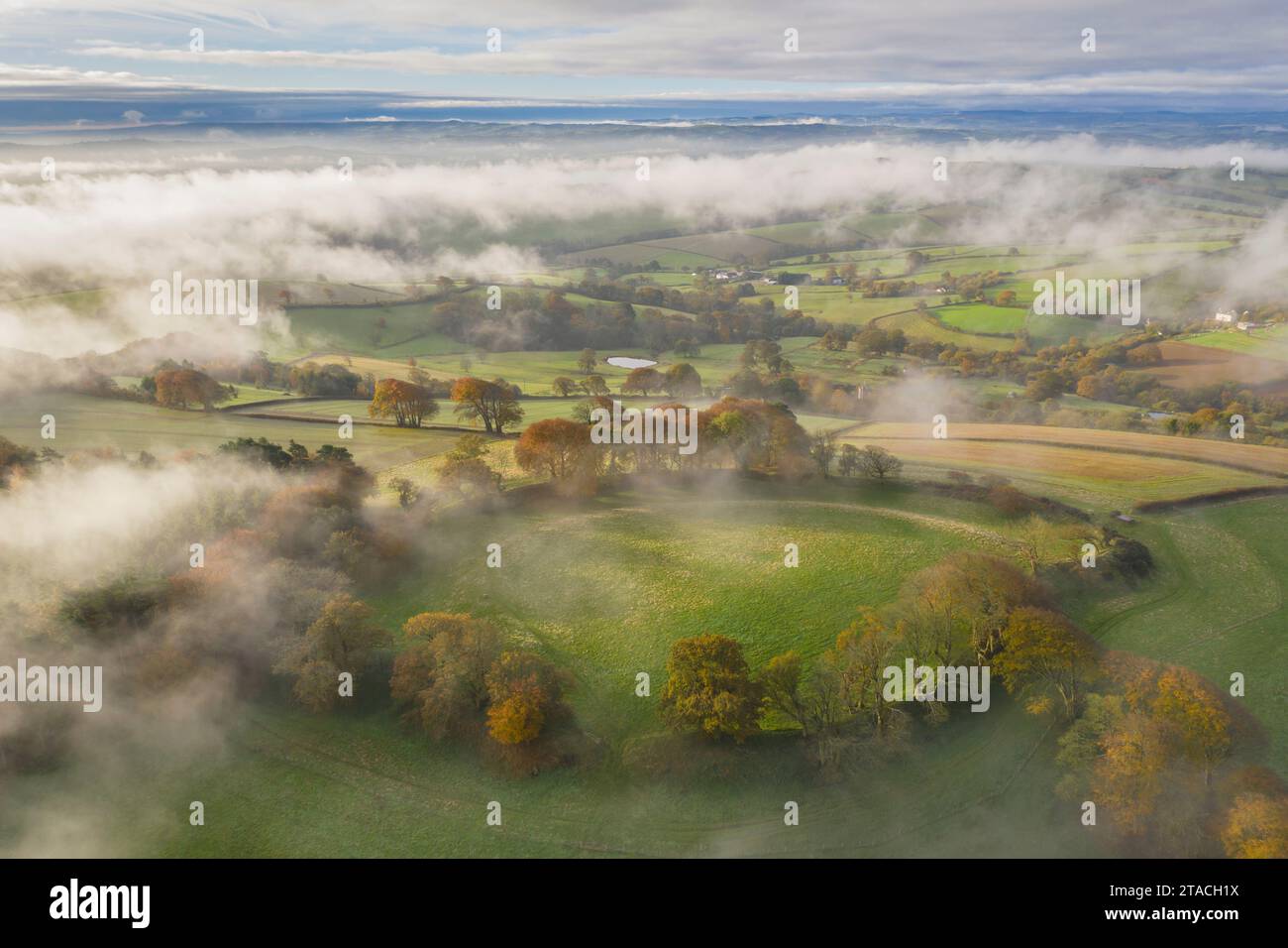 Misty autumn morning above Cadbury Castle Iron Age Hillfort, Cadbury, Devon, England. Autumn (November) 2021. Stock Photo