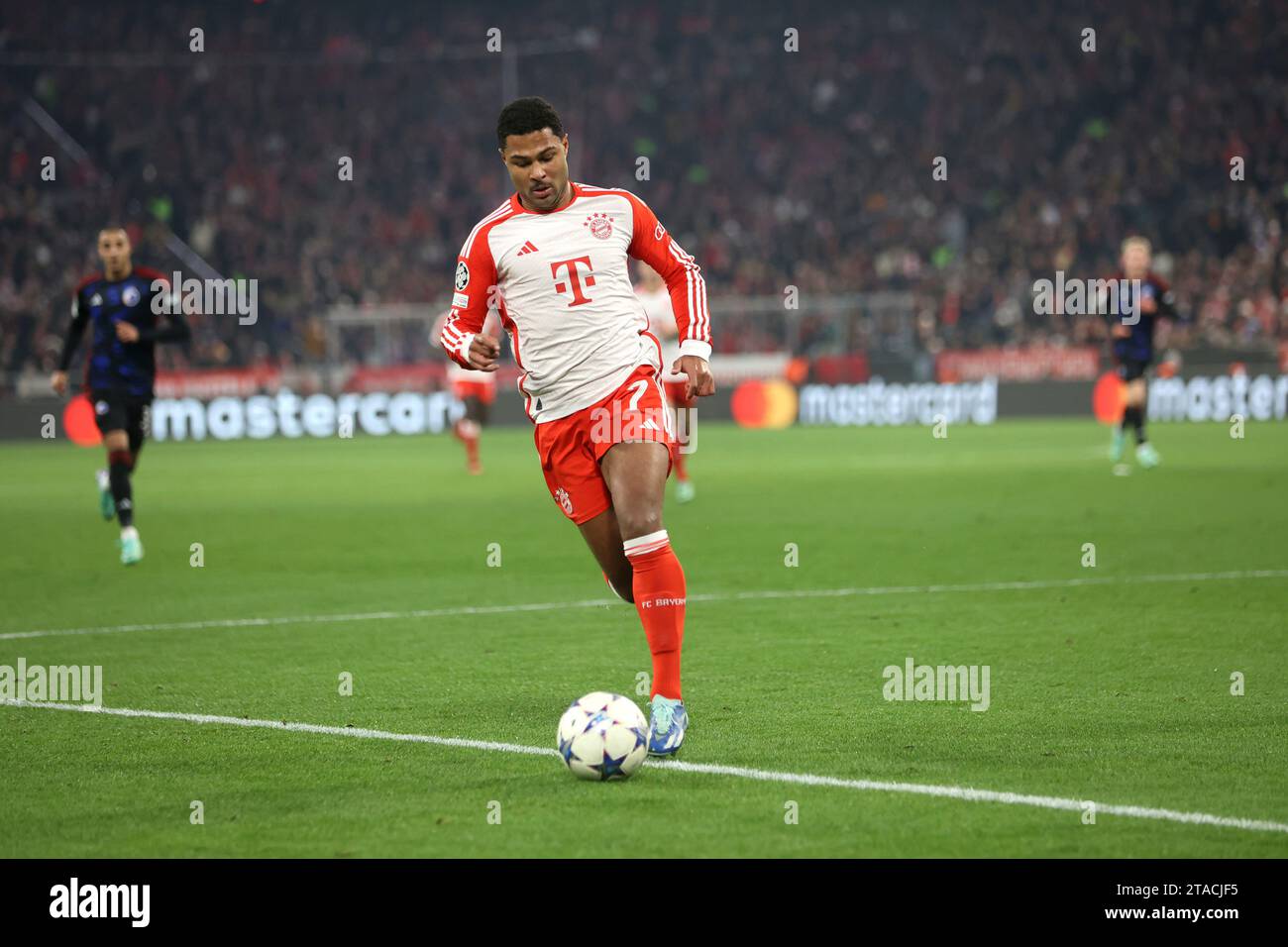 Serge gnabry fc bayern münchen mit ball im angriff hi-res stock ...