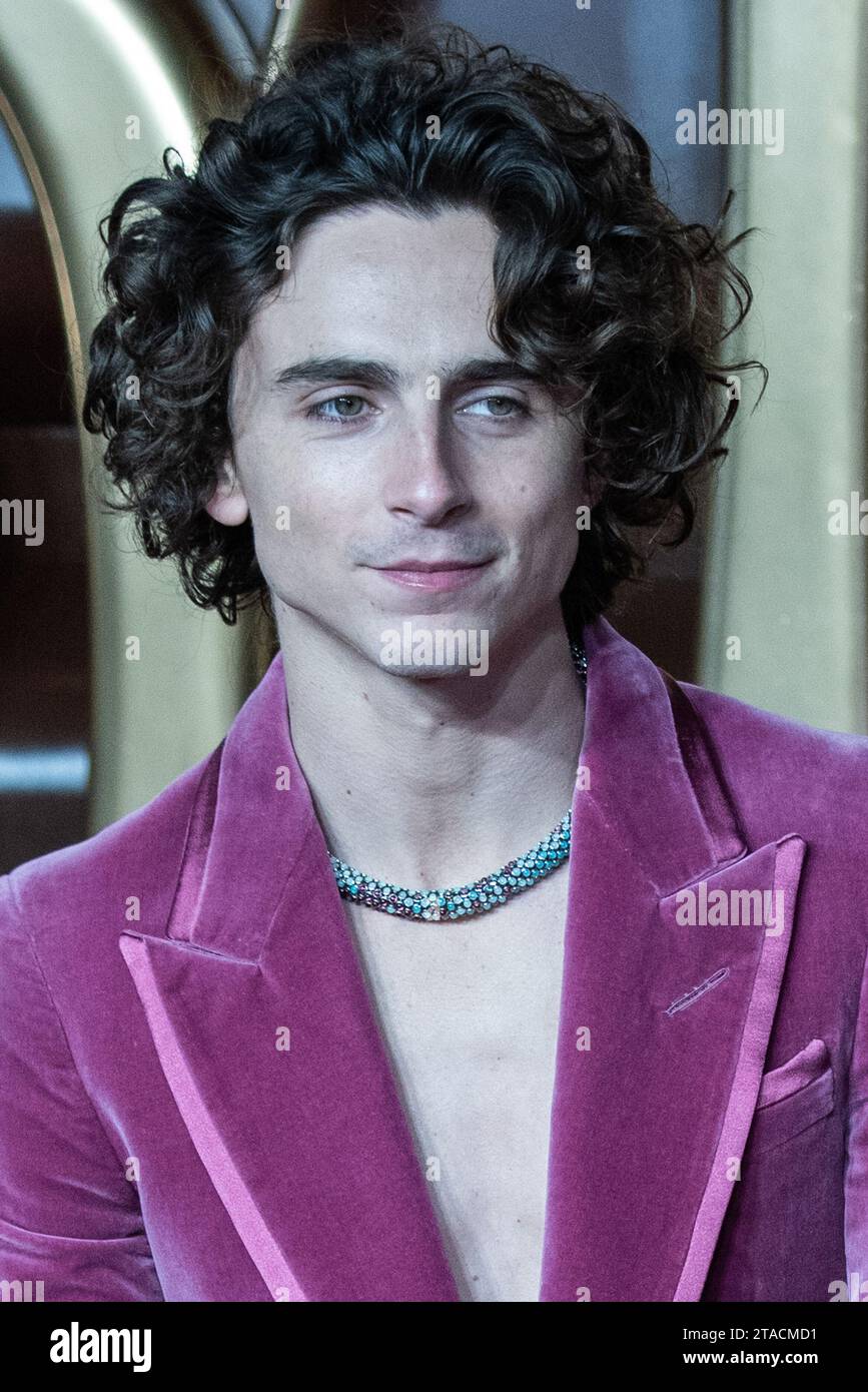 london-uk-28th-nov-2023-timothee-chalamet-attends-the-wonka-world