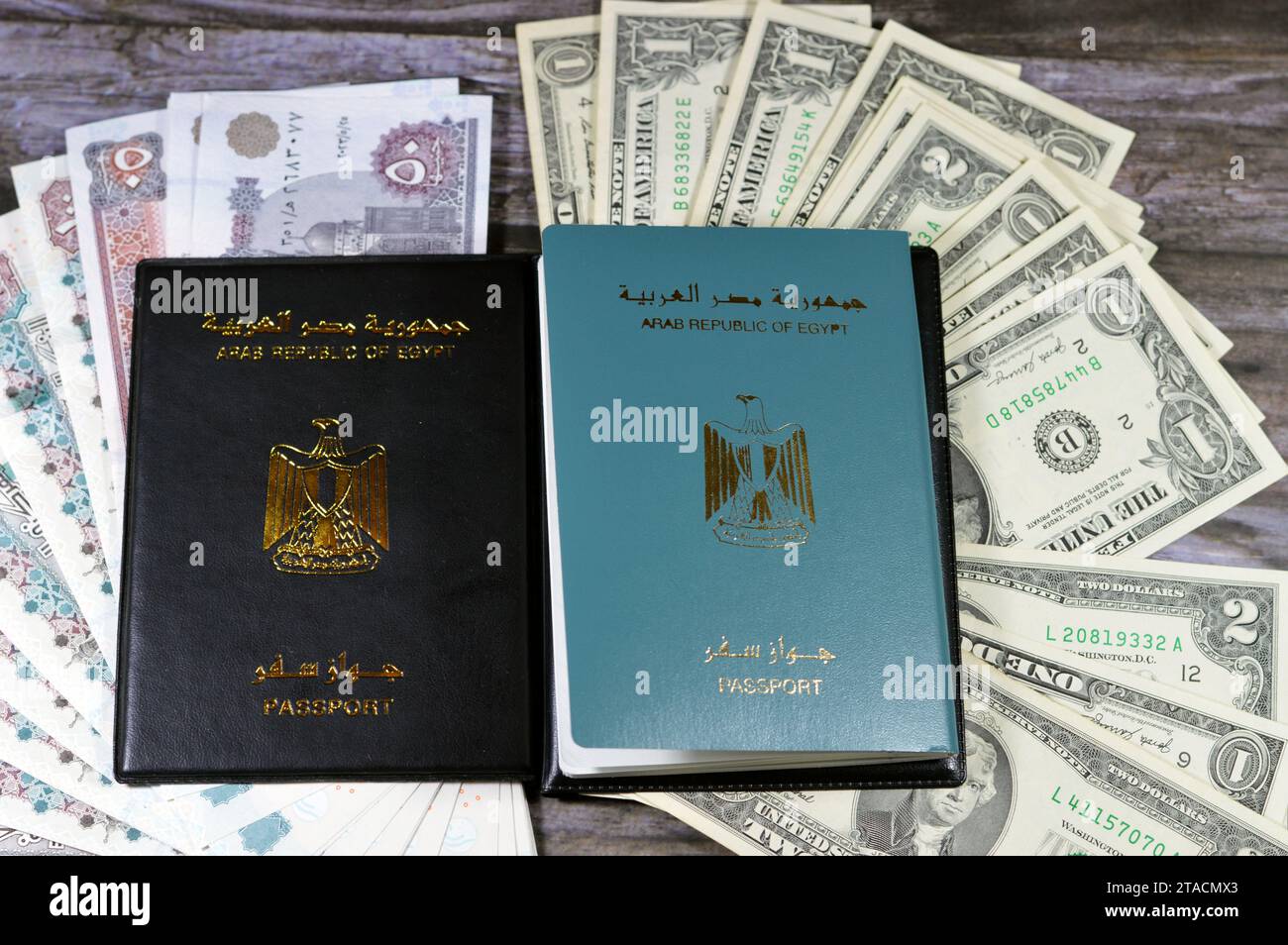 Egyptian passport black book, Translation of Arabic words (Arab