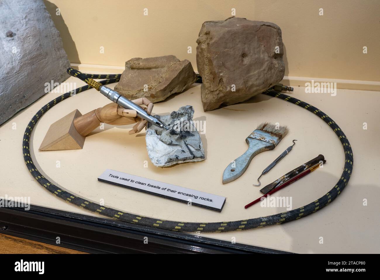 Tools used by paleontologists to excavate fossils in the USU Eastern Prehistoric Museum in Price, Utah. Stock Photo
