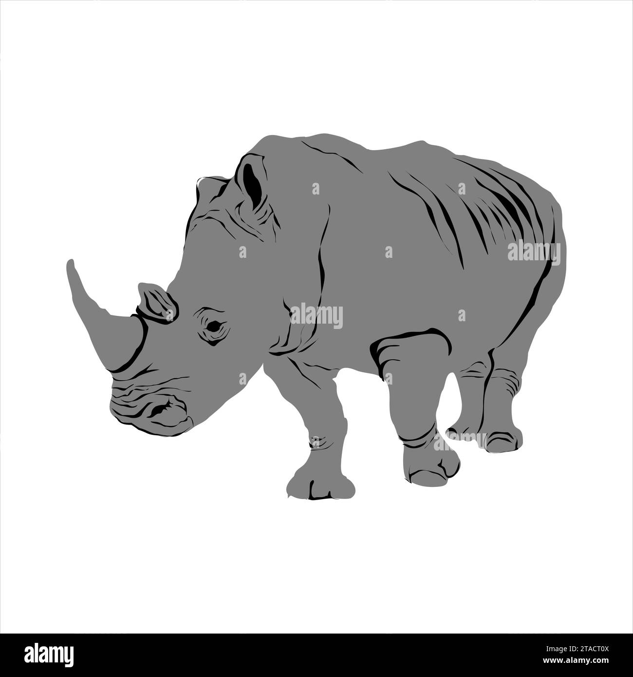 Indian rhinoceros Black and White Stock Photos & Images - Alamy