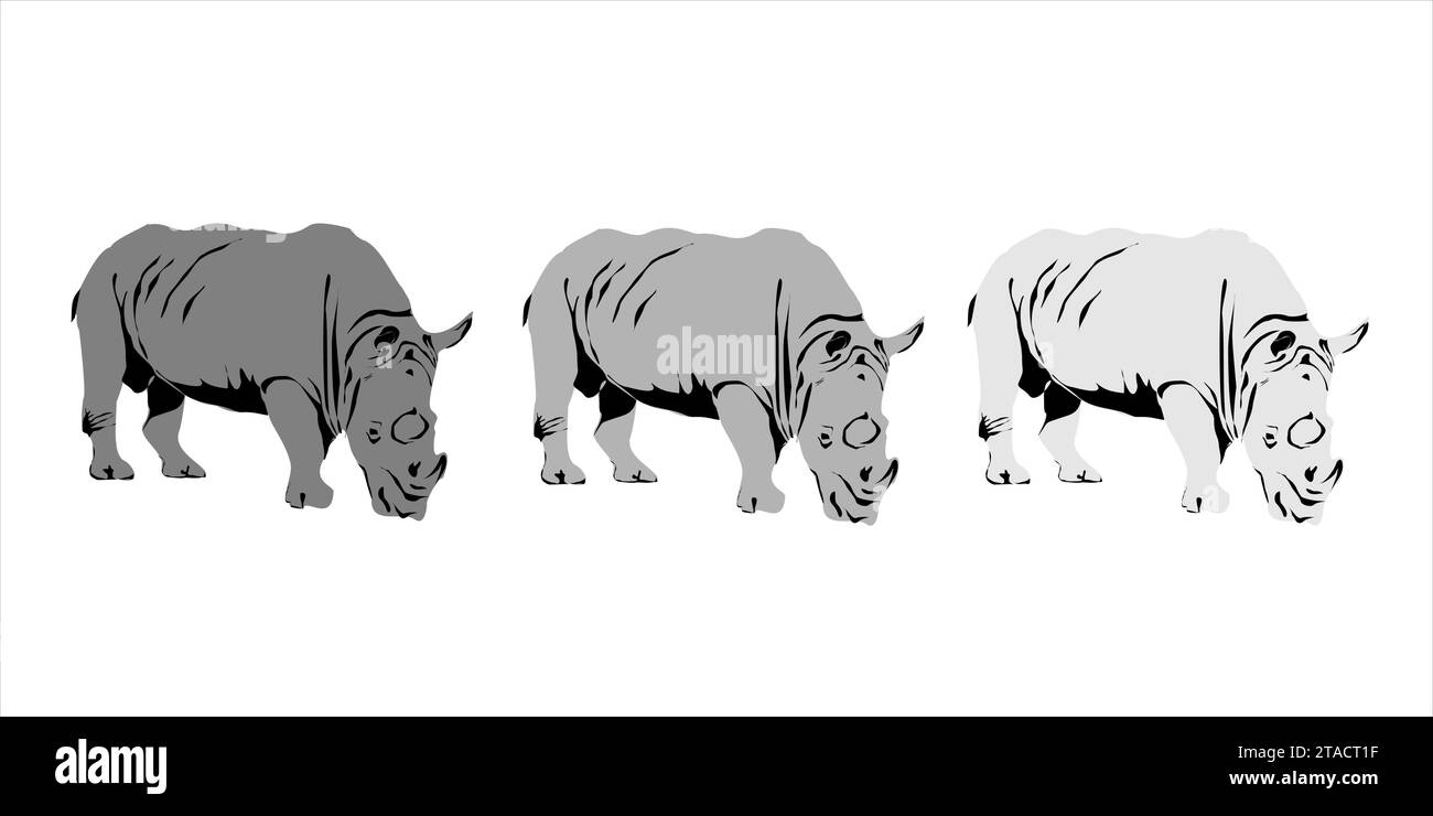 Vector illustration of the Javan Rhinoceros, a rare Indonesian animal. Stock Vector