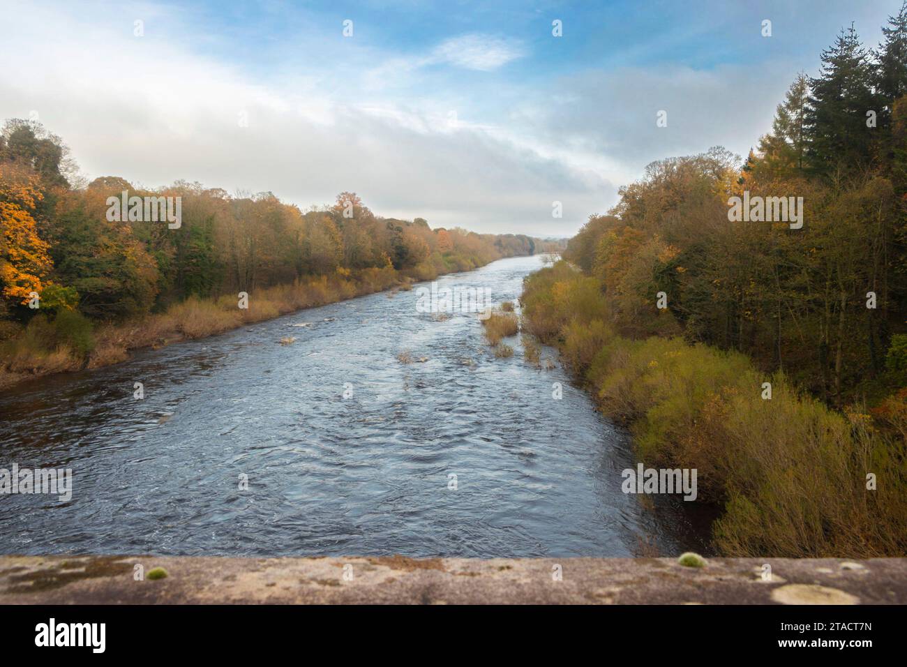 river tyne in northumberland with trees in fall autumn colours Stock ...