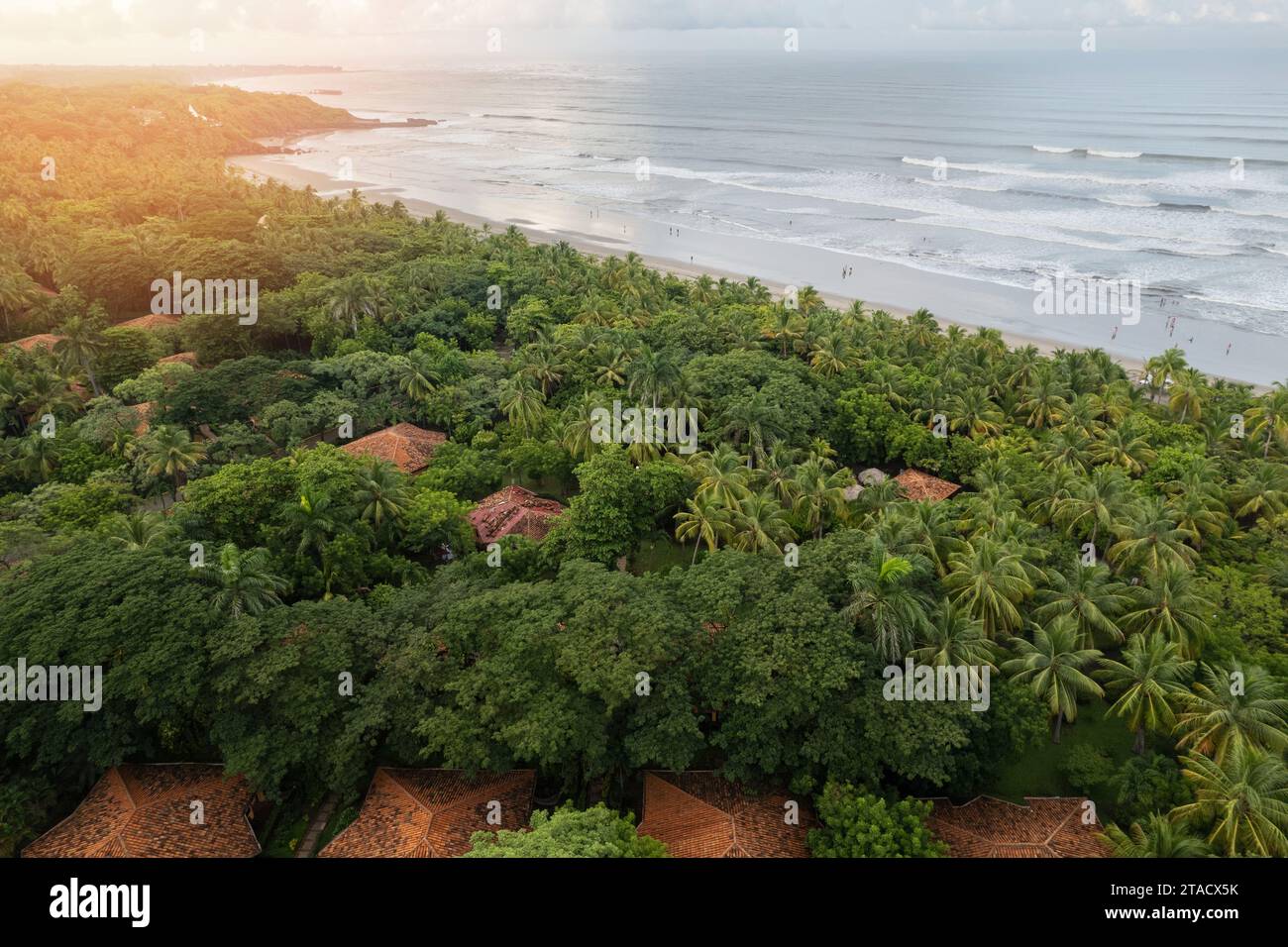 Vacation in tropical beach theme.  Villa roof among green palm tree on coastline beach aerial drone view Stock Photo