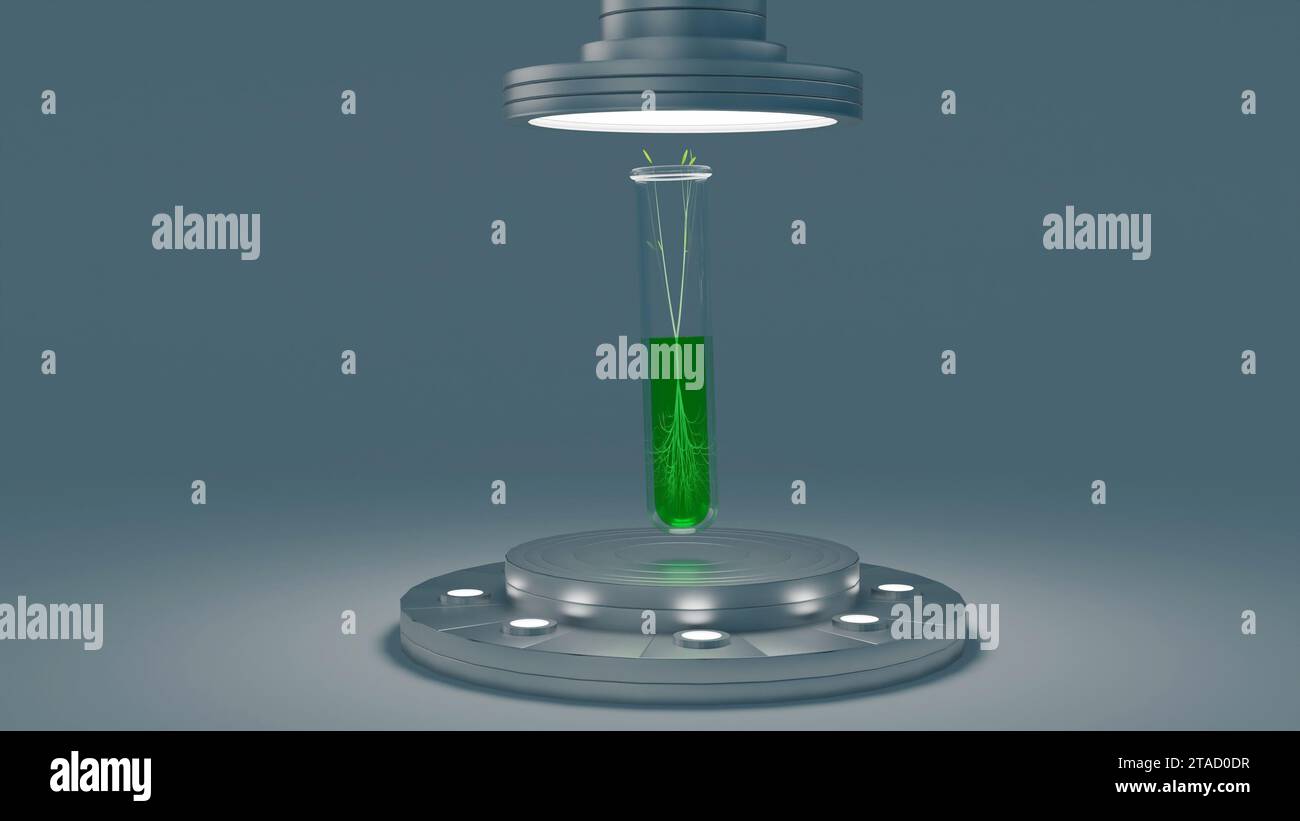 3D rendering of plant germination inside a test tube is often used in