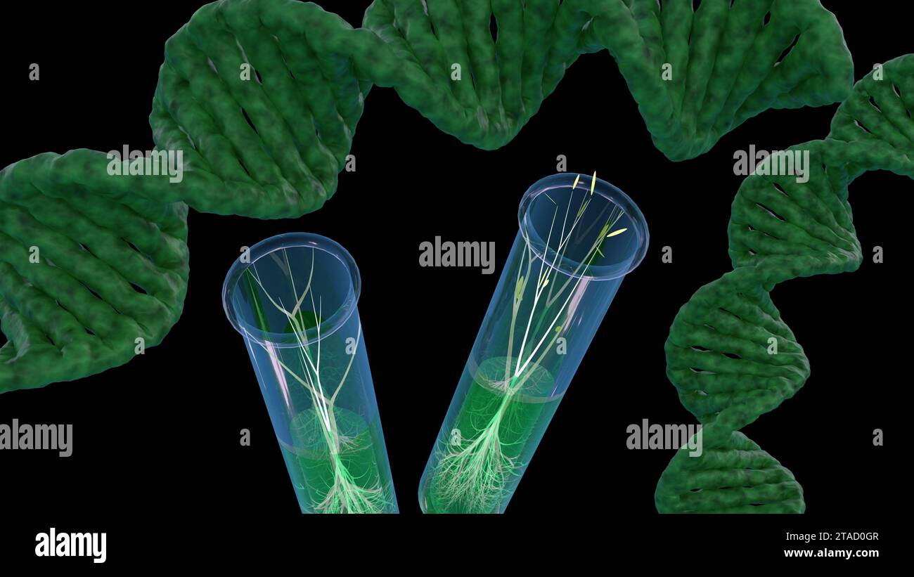 3D rendering of plant germination inside a test tube and a closeup of