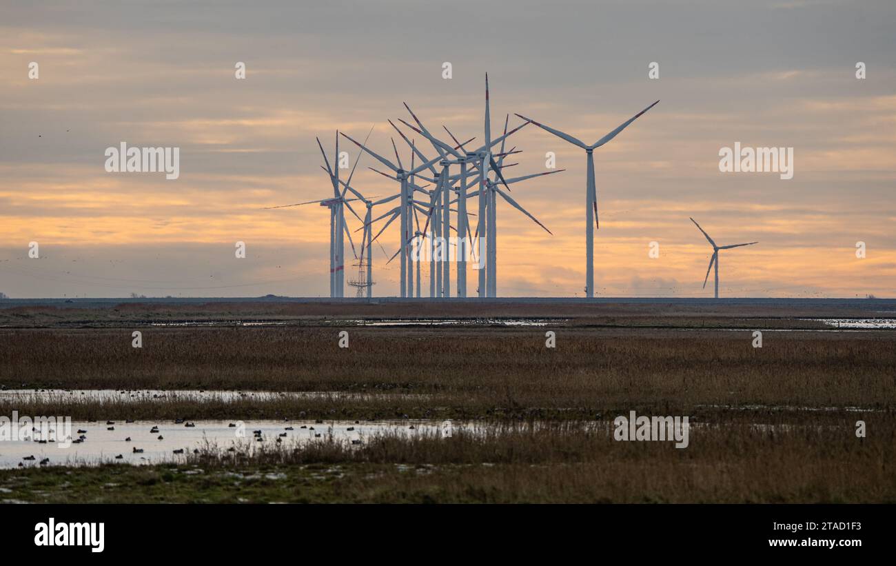 A wind energy farm, seen in a blue haze, stands near the North Sea coast on a rosy winter morning in this long distance shot Stock Photo