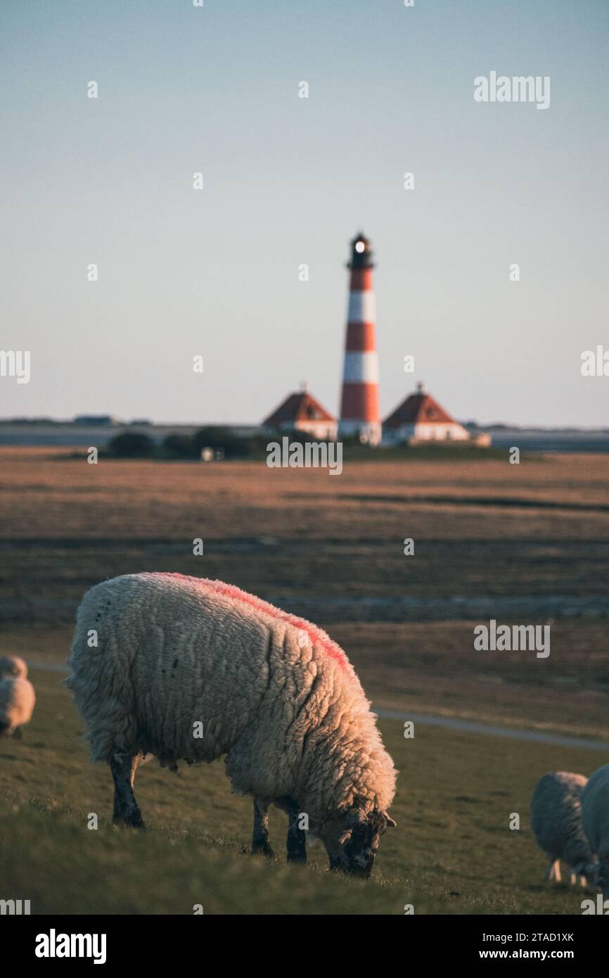 Leuchtturm Westerhever Stock Photo