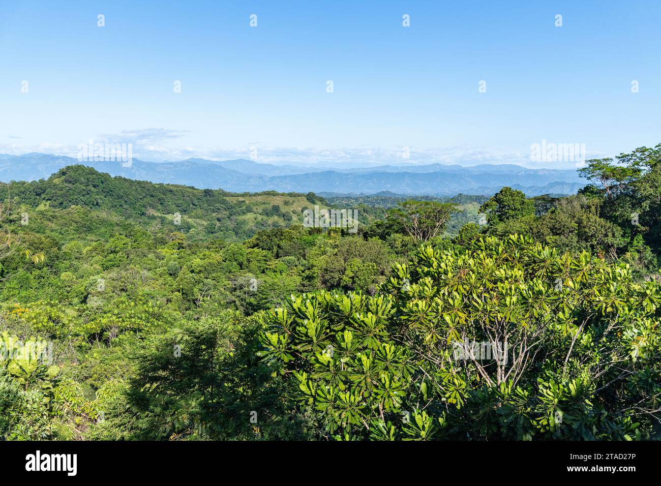 A view of the Colombian countryside forests, jungles and mountains Stock Photo